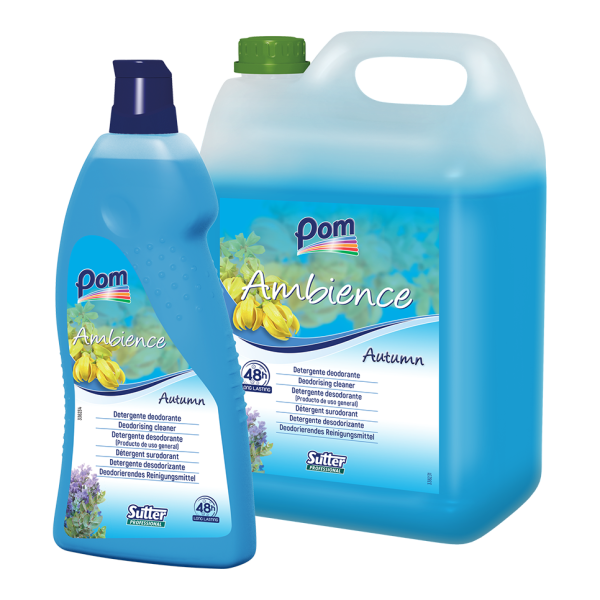 AMBIENCE AUTUMN DEODORISING DETERGENT